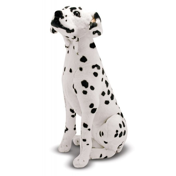 Catel Dalmatian din plus - 1 | YEO