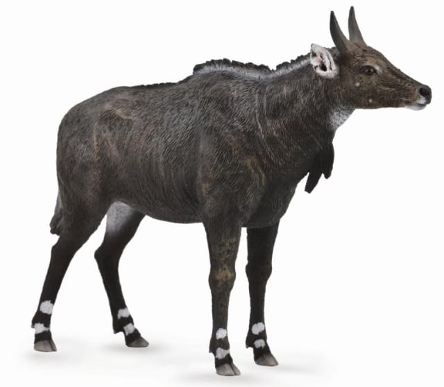 Figurina Antilopa Nilgai L Collecta