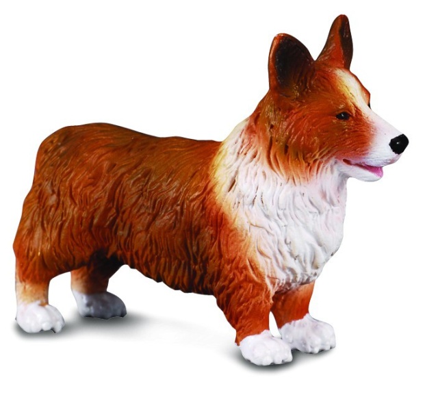 Corgi - Collecta