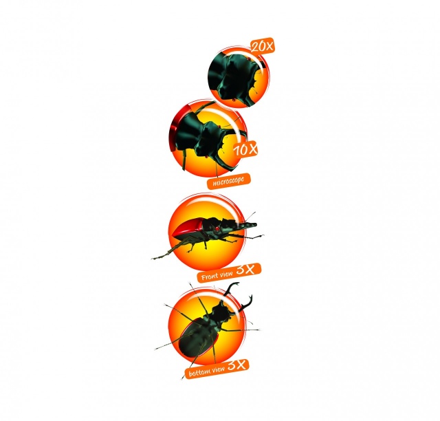 Cutie cu lupa și microscop pentru observarea insectelor, Navir - 3 | YEO