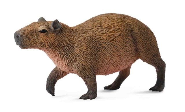 Capibara- Collecta