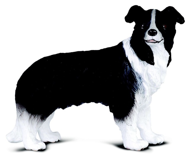 Figurina Border Collie