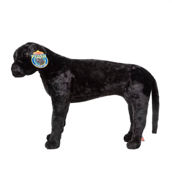 Catel Labrador Negru gigant din plus - 1 | YEO