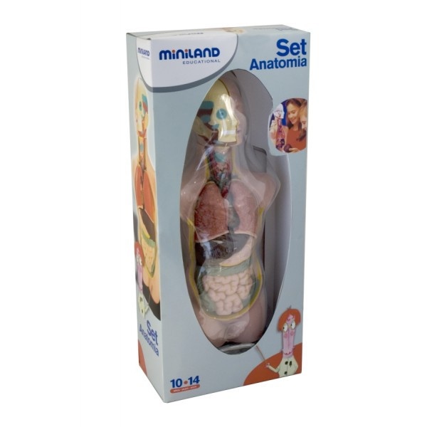 Set Anatomia Umana 50 cm - 2 | YEO