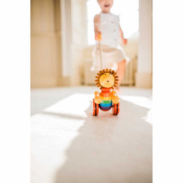 Jucarie de impins leu, Orange Tree Toys - 3 | YEO