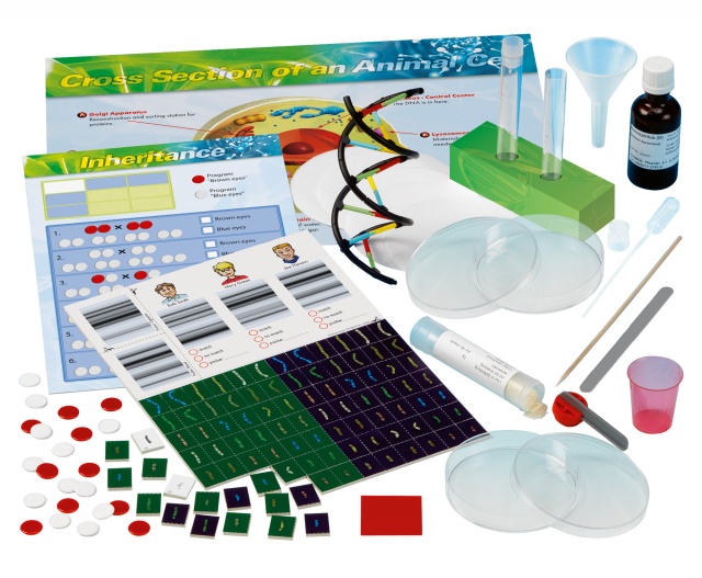 Kit STEM Laboratorul de genetica, Thames & Kosmos - 3 | YEO