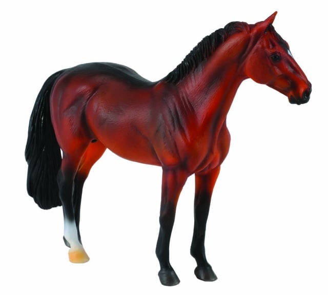 Armasar Hanoverian - Collecta