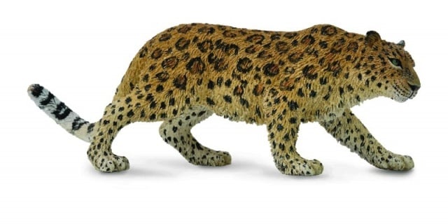 Figurina Leopard de Amur XL Collecta