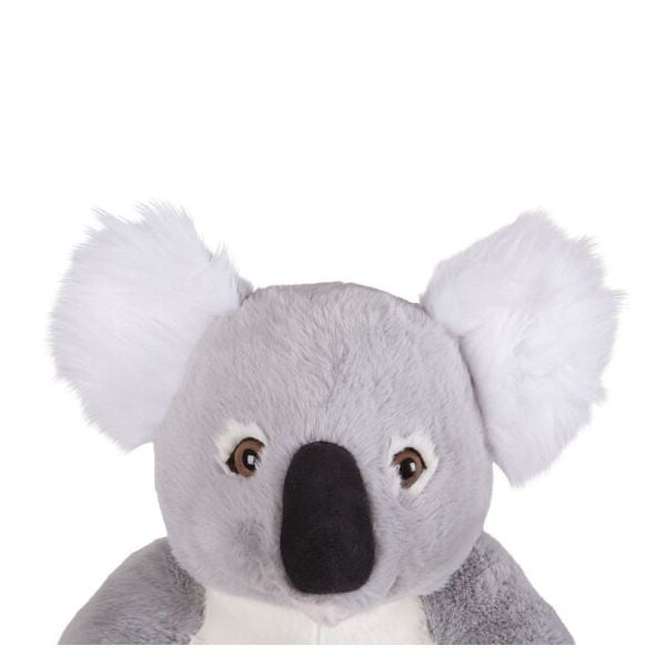 Koala gigant din plus - 1 | YEO