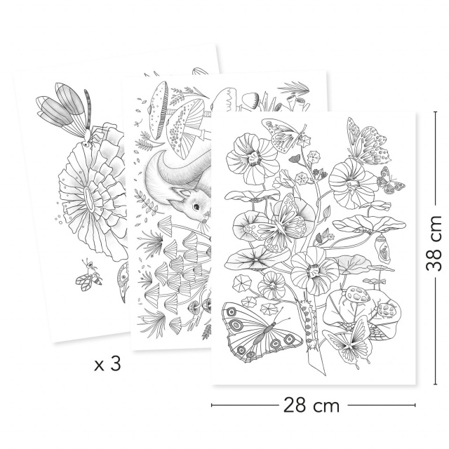 Mapa cu 3 postere de colorat Natura, Djeco - 1 | YEO