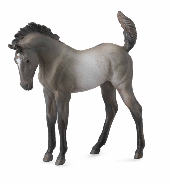 Mustang - Grulla manz