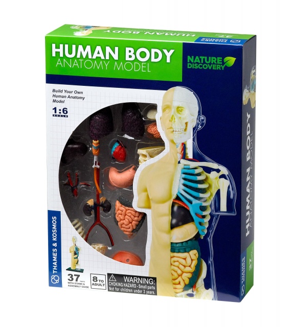 Kit STEM Anatomia corpului uman, Thames & Kosmos