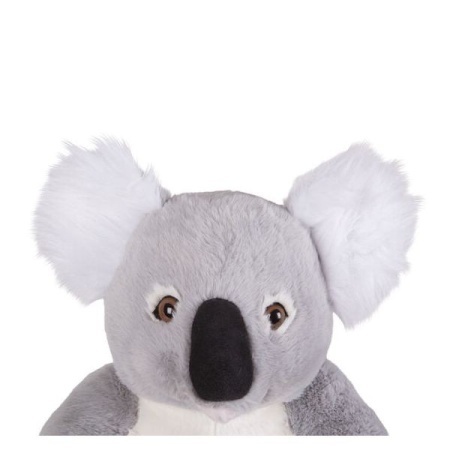 Koala gigant din plus - Img 2