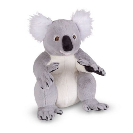 Koala gigant din plus - Img 3