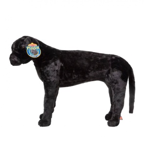 Catel Labrador Negru gigant din plus - Img 2