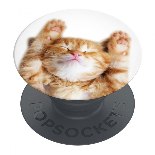 Suport pentru Telefon - Popsockets PopGrip - Basic Snoozy Cat
