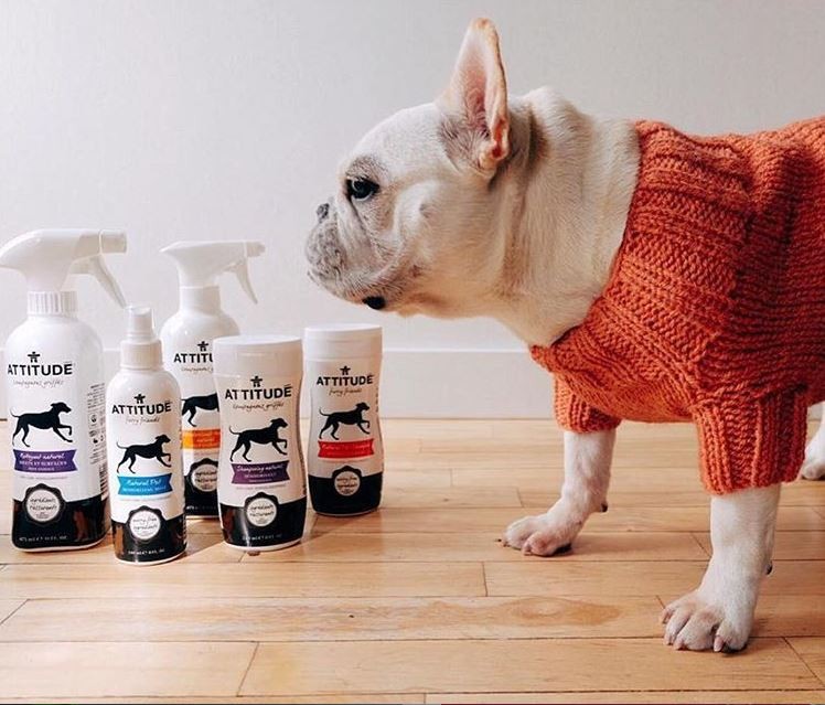 Produse ecologice animale companie