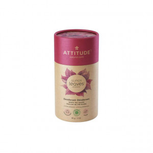 Deodorant stick eficient frunze de ceai alb, fara aluminiu, parabeni sau talc Attitude 85g