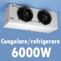 6000 W Air Cooler / -25°C