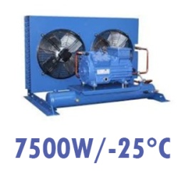 GEA Bock Condensing Unit 7500W/-25°C SHGX34e/315-4 SL