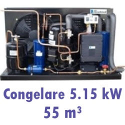 Tecumseh TAG2522 | Agregat Frigorific 400V