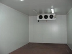 Refrigeration and Freezer Cold Rooms 159 m³