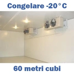 Cameră Congelare | 60 mc