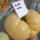 ROSII ALBE MARI, 50 semințe, detalii... - Img 3