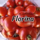 ROSII FLORINA, 50 seminte, detalii... - Img 3