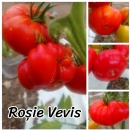 ROSII VEVIS, 100 semințe