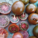 CHERRY NEGRE DE CHINA, 50 semințe, detalii...