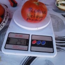 ROSII FLORINA, 50 seminte, detalii... - Img 2