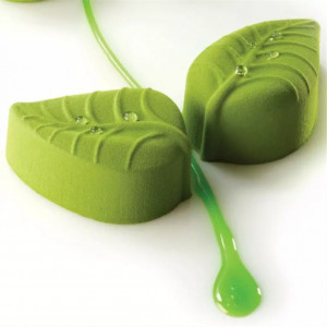 forma-silicon-frunze