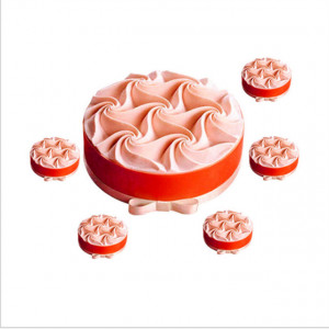 silicon-mould