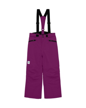 Pantaloni schi Color Kids - Wild Aster