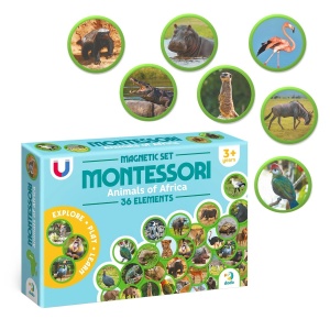 Set magnetic Montessori, Animale din Africa, Dodo Toys