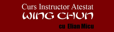 Curs Instructor Wing Chun