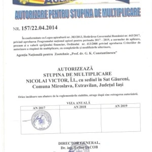 matci fecundate (sau imperecheate), selectionate in 2021 de vanzare, cu livrare oriunde - Img 3