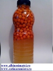 Miere cu catina la PET alimentar de unica folosinta de 1400 Grame
