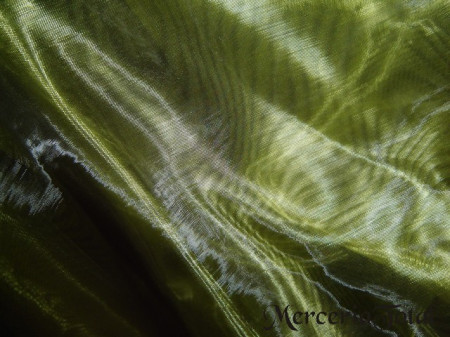 Organza kaki