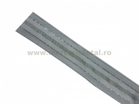 Panglica organza 25mm 01