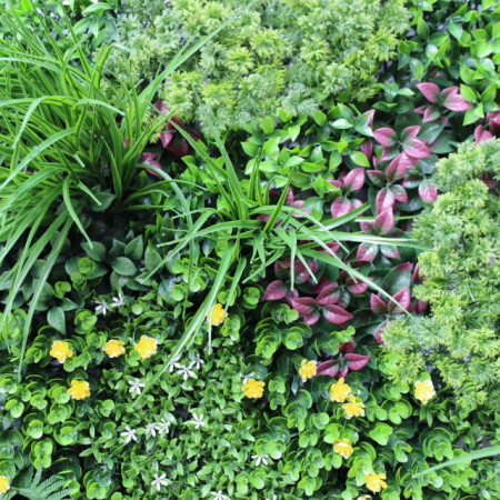 VV 6135 GreenWall Rainforest -perete verde artificial 1x1m - Img 3