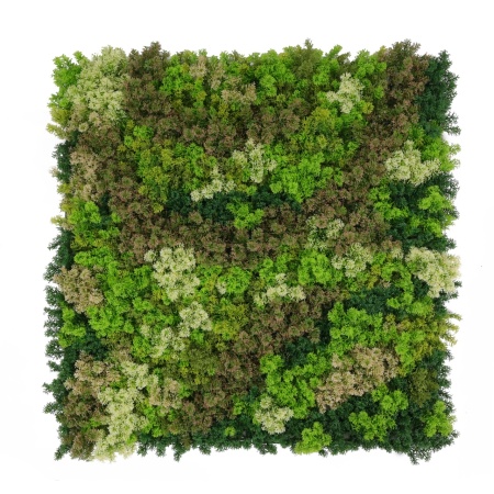 VV 7003 GreenWall Stone Lichen-perete multicolor artificial 1x1m