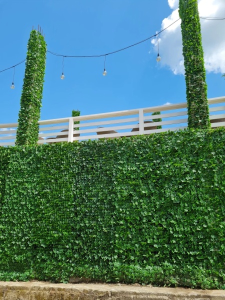 VV 5001 Ivy -"gard viu''artificial,sintetic -role 1.5mx3m - Img 2