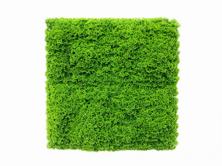 VV 7002 GreenWall Stone Moss-perete verde artificial 1x1m