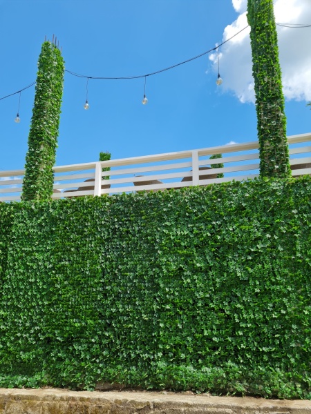 VV 5001 Ivy -"gard viu''artificial,sintetic -role 1mx3m - Img 3