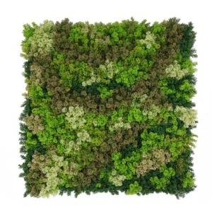 VV 7003 GreenWall Stone Lichen-perete multicolor artificial 1x1m