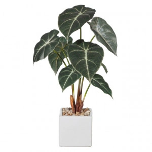 Alocasia artificiala 40cm