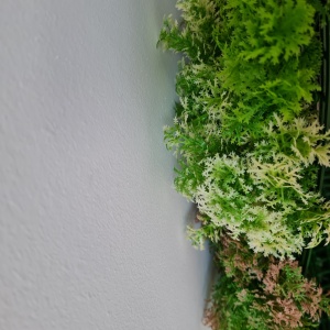 VV 7003 GreenWall Stone Lichen-perete multicolor artificial 1x1m - Img 3