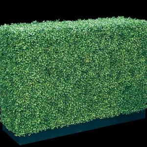 Gard viu artificial asamblabil - Boxwood 75x75x25 cm - Img 2